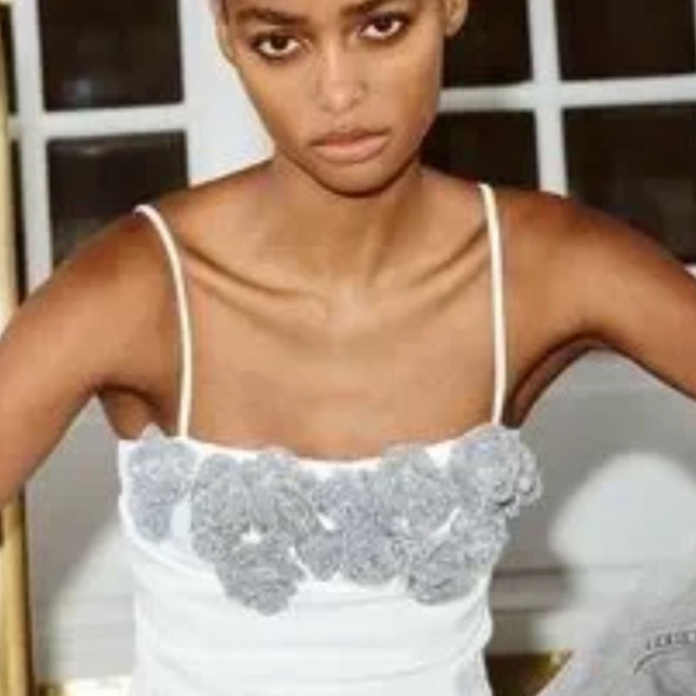 NWT Zara Elegant White, Silver, and Gray Floral Embellished Women's Top.